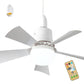 2-in-1 Portable Ceiling Fan & Light With Remote Control