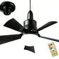 2-in-1 Portable Ceiling Fan & Light With Remote Control