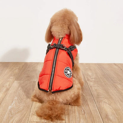 🐶VENTE D'HIVER🐾Manteau chaud imperméable multifonctionnel pour chien