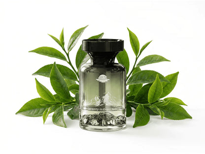 🚗 50% OFF NOW! 🌿 Long-Lasting Car Air Freshener – Natural plant extracts & eliminates smoke – Weeks of freshness, mountain design – perfect for pet owners or daily commuters 💨✨