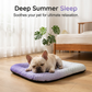 50% Off – Cooling Gel Mat for Pets | Self-Cooling Pad for Dogs & Cats
