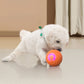 🎉 2026 Sale — Over 27,900 Sold!🐾 Auto Bouncing Smart Pet Ball – Interactive ✨