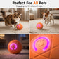 🎉 2026 Sale — Over 27,900 Sold!🐾 Auto Bouncing Smart Pet Ball – Interactive ✨