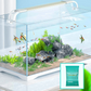🥳2026 HOT SALE🥳💞50K+ SOLD!✨ 🔥 Electric Aquarium Gravel Cleaner✨