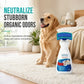 🛋️ 50% Off Now ✨ No-Wash Carpet & Sofa Cleaner with Brush