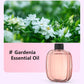 Smart Scent Diffuser for Everyday Spaces