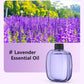 Smart Scent Diffuser for Everyday Spaces
