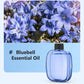 Smart Scent Diffuser for Everyday Spaces